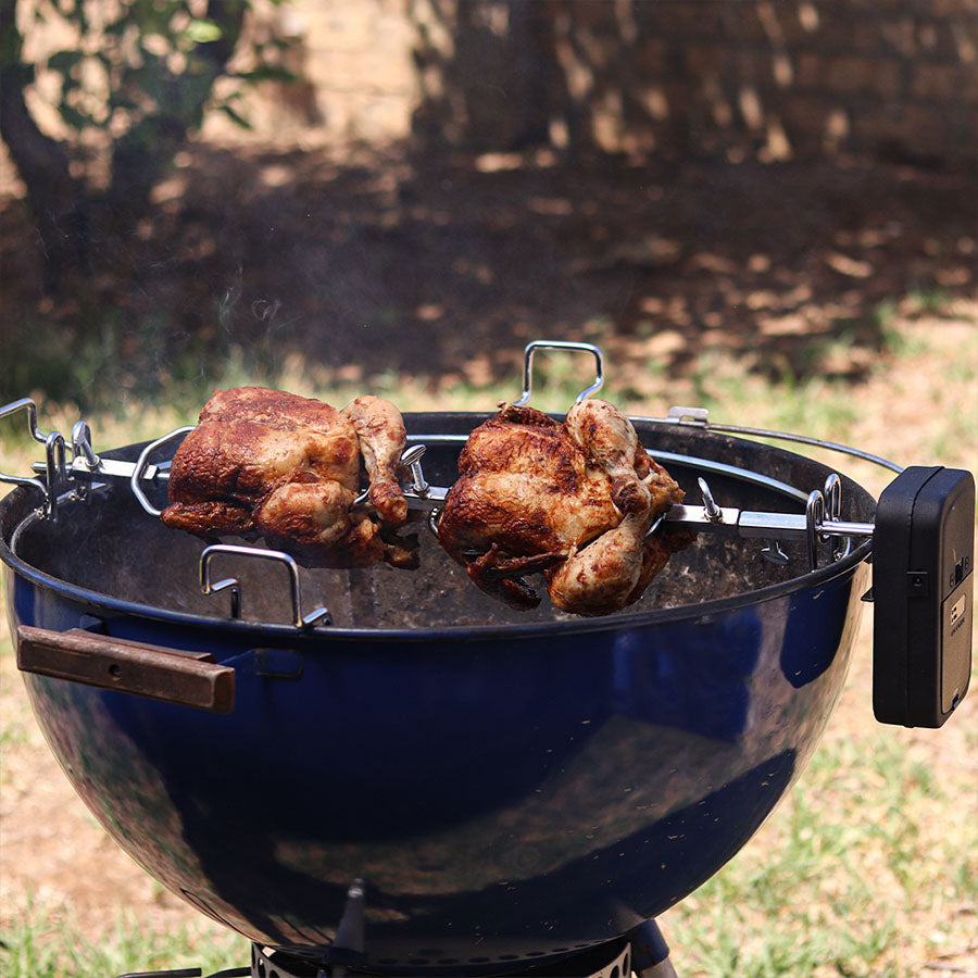 Rotisserie Motor